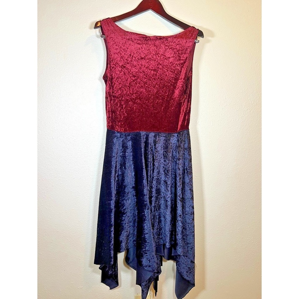Dark Fairy Costume Overdress Burgundy & Blue Velvet Lace Up Fantasy Ren Faire - Picture 7 of 10